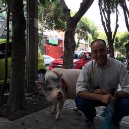 Jorge Cisneros's profile photo