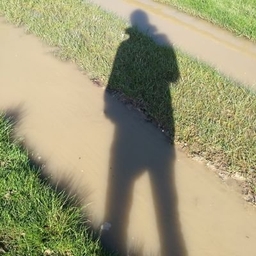 Simon Handby's profile photo