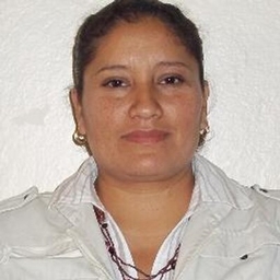 Acela Montaño's profile photo