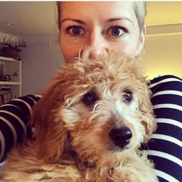Isla Harvey's profile photo