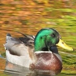 Melissa Mayntz's profile photo