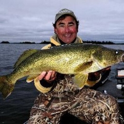 Gord Pyzer's profile photo