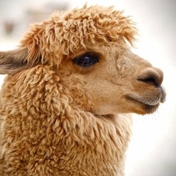 Alex Scroxton's profile photo