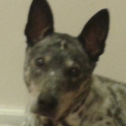 Jeff C. Cercone's profile photo