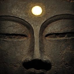 john j. kim's profile photo