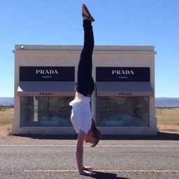 Whitney Harding's profile photo
