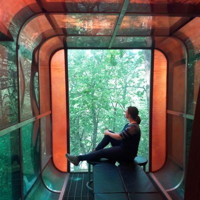 Lauren Smith's profile photo