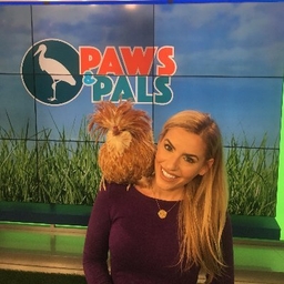 Laura A. Robb's profile photo