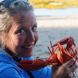 Hilary Nangle's profile photo