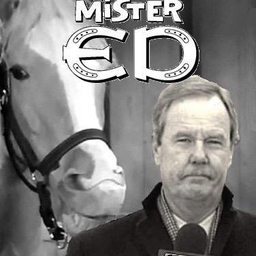 Ed Werder's profile photo
