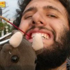 Abe Apfel's profile photo