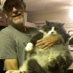 Phil Freedman's profile photo