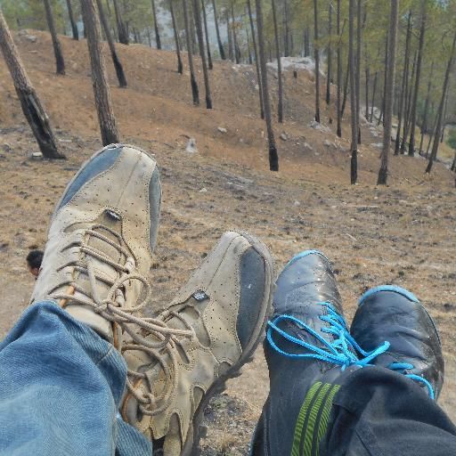 Tanveer Singh's profile photo