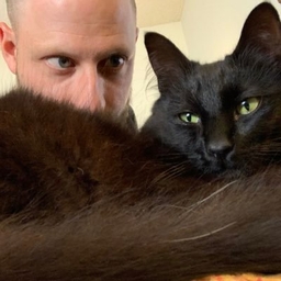 Tim Greiving's profile photo
