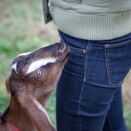 Lee Stabert's profile photo