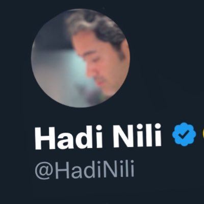 Hadi Nili's profile photo