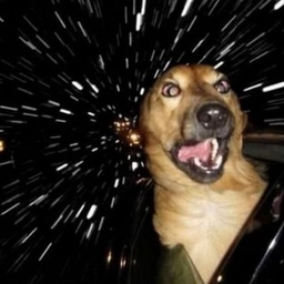 Cory Schachtel's profile photo