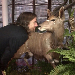 Sam Broekema's profile photo