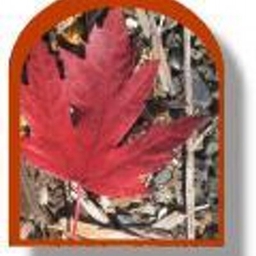 Nancy Butler's profile photo