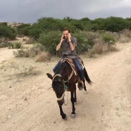Laurent Thomet's profile photo