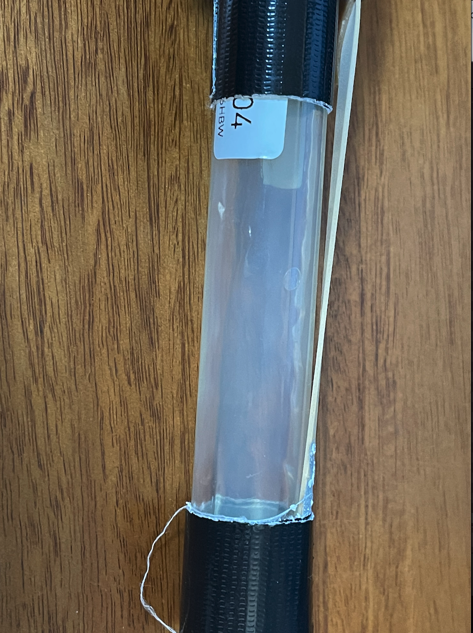 Control test tube with zero growth