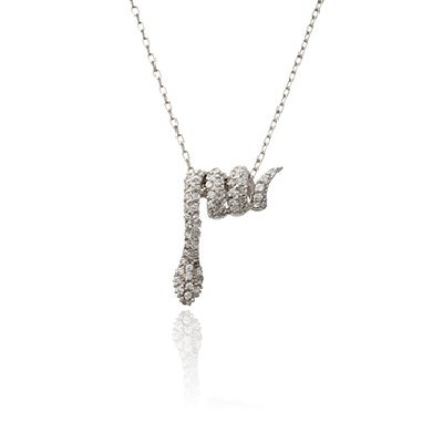 Conjunto serpiente enrollada vibora pave blanca