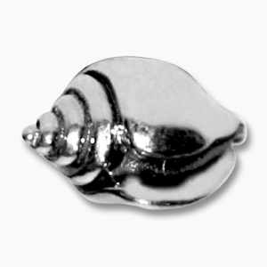 abalorio macizo caracol