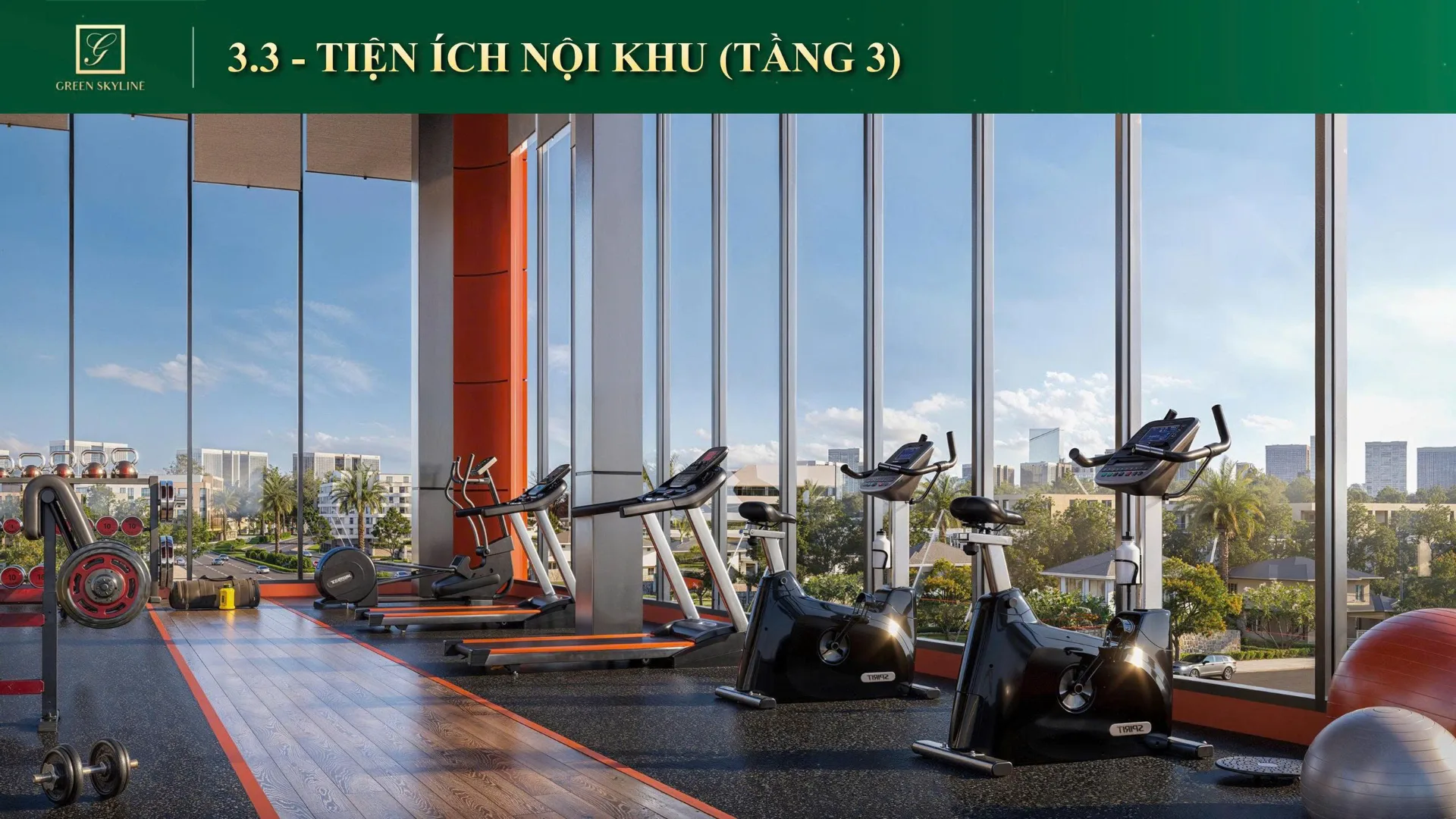 Green Skyline gallery 7