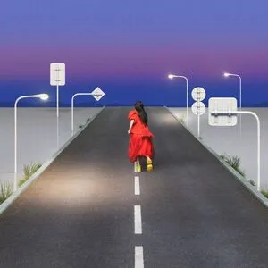 ビーナスベルト