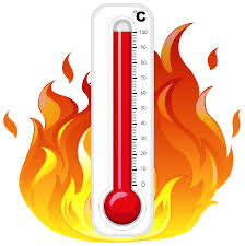 Fermeture des dojos pour cause de canicule 