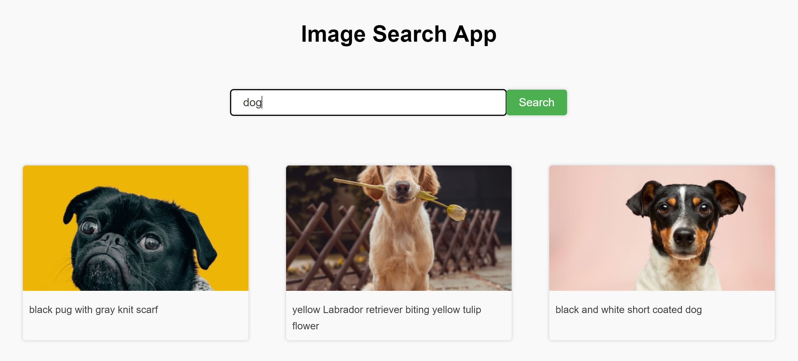 Image Search App project image