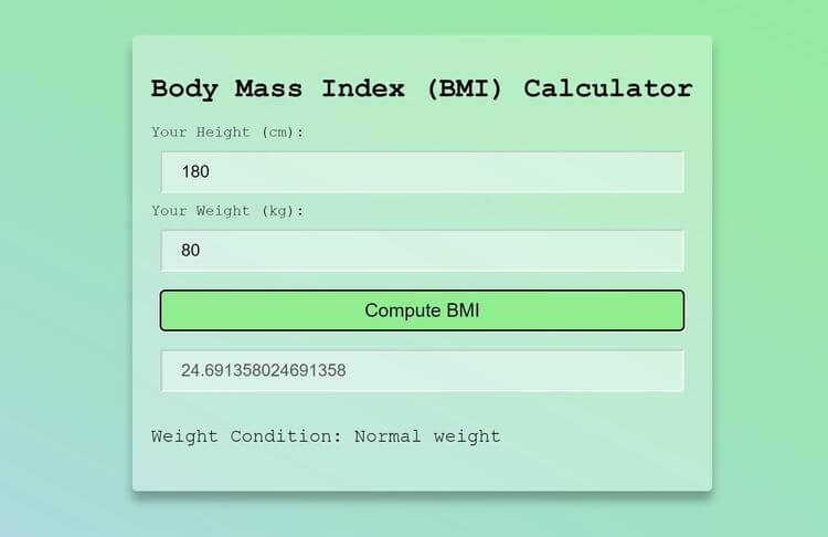 BMI Calculator project image