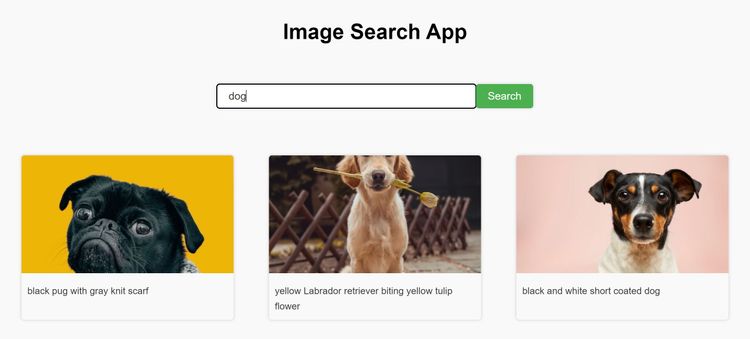 Image Search App project image