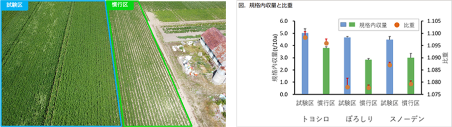 試験区」におけるジャガイモの収量が、「慣行区」に比べて最大約1.6倍に増加&nbsp; &nbsp; &nbsp; &nbsp; &nbsp; &nbsp; &nbsp; &nbsp;https://www.softbank.jp/