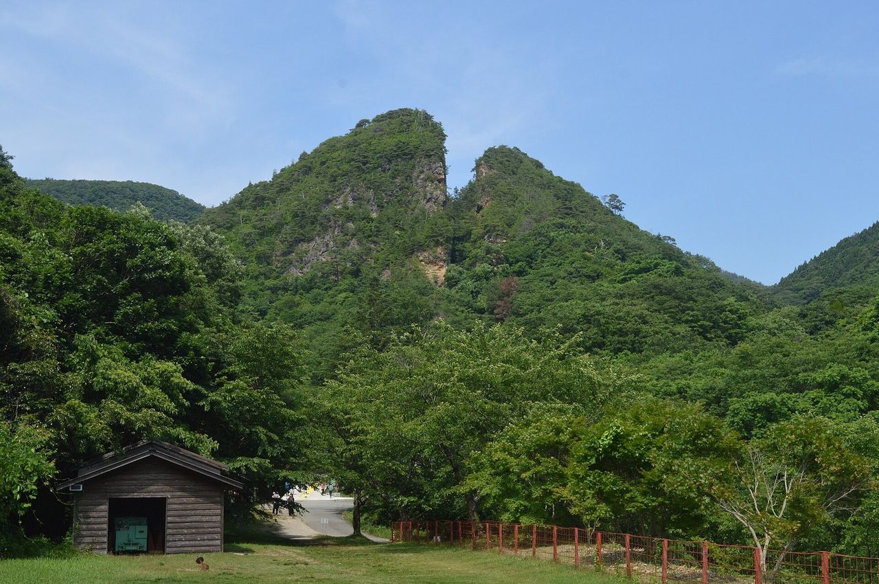 新潟县