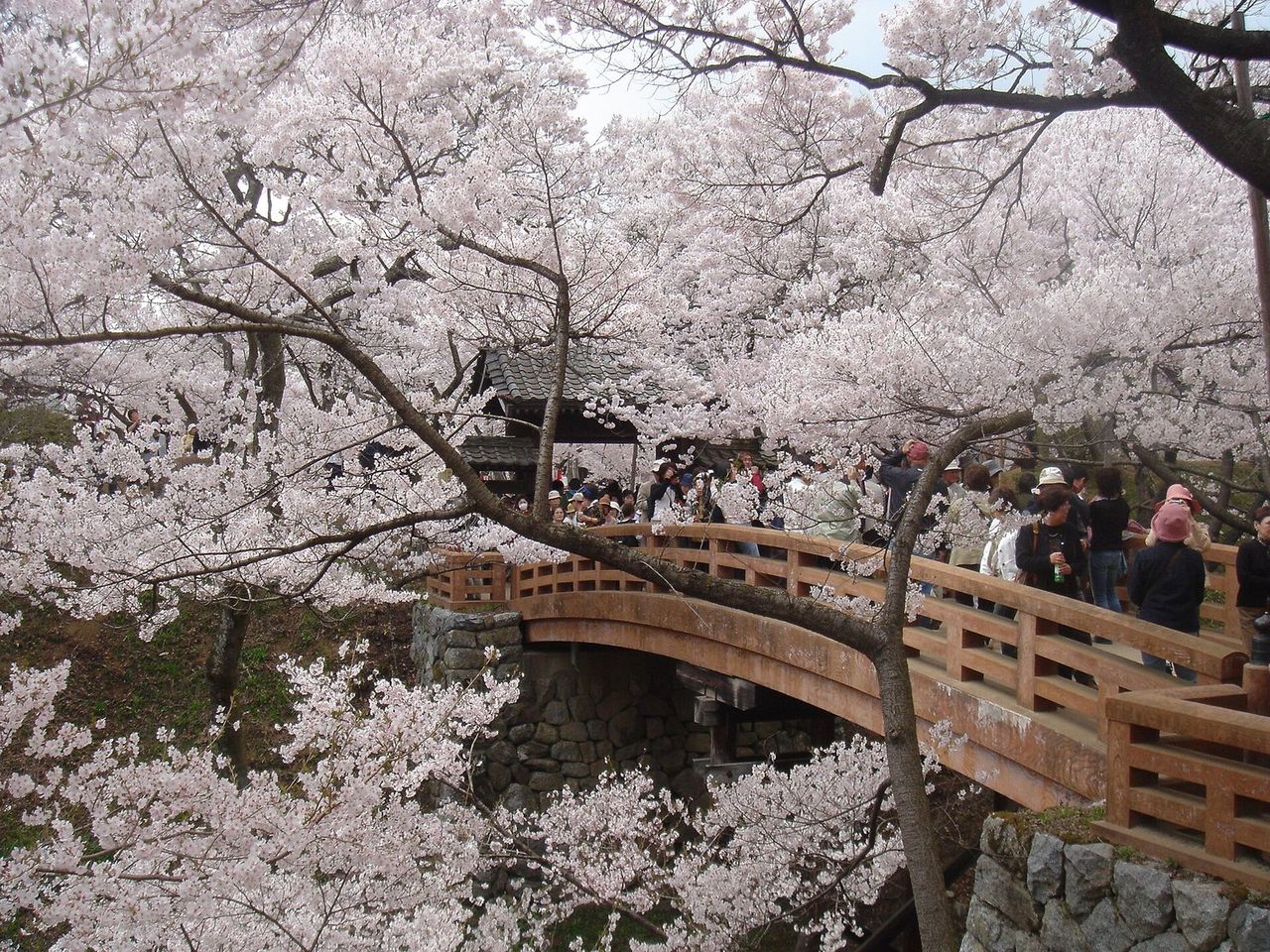 长野县