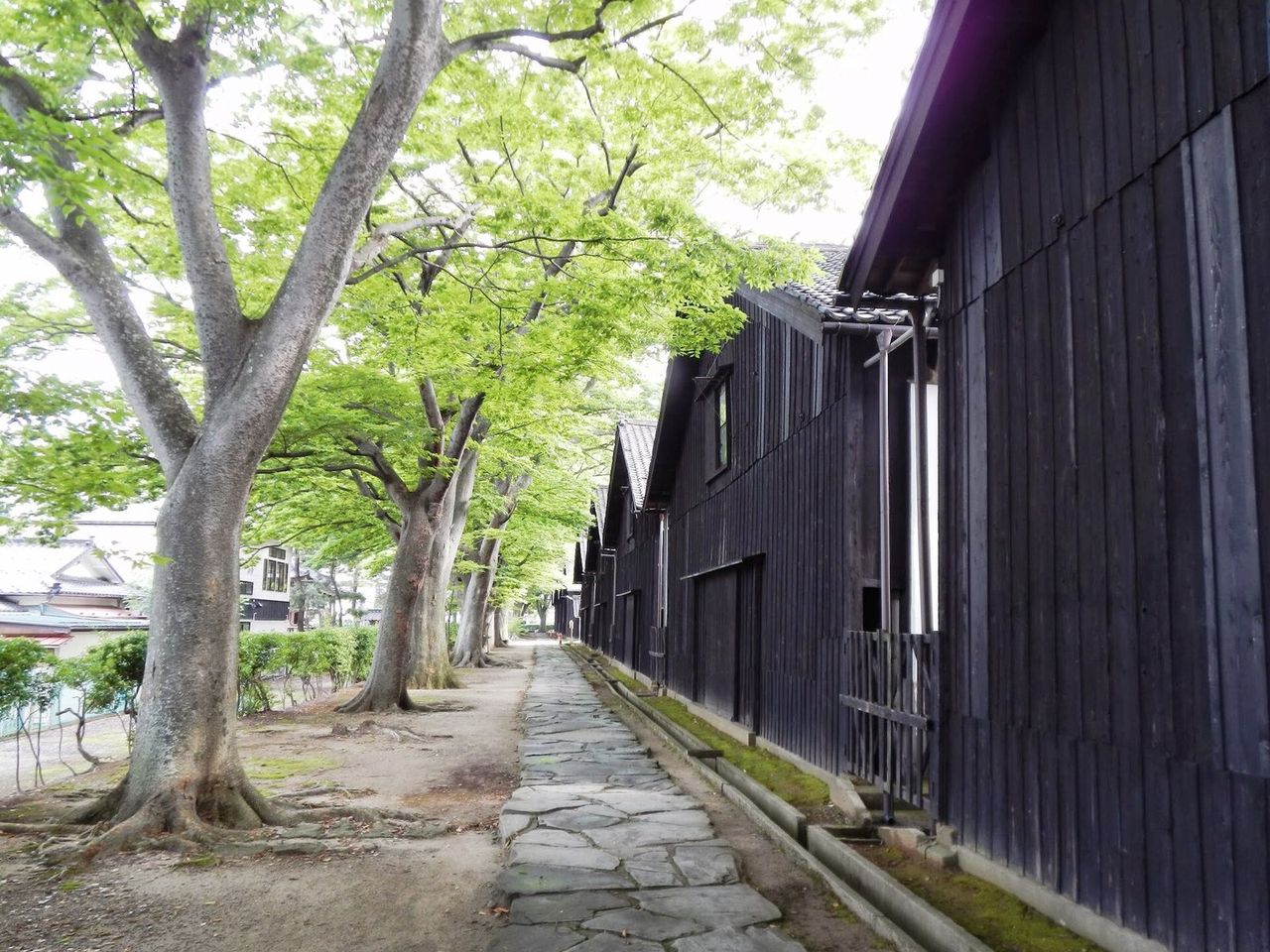 山形县