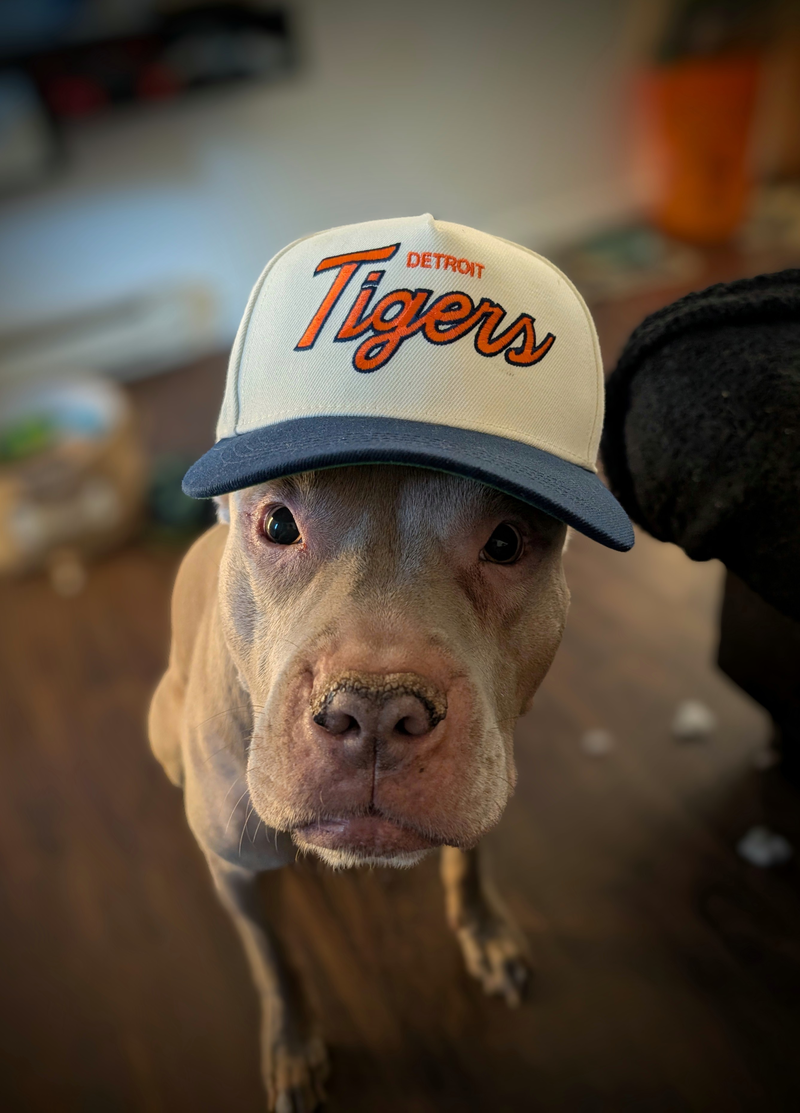 User profile image