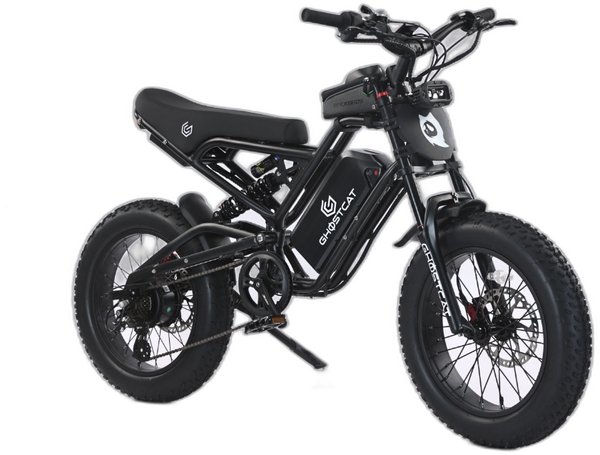 Ghostcat Bikes Ghostcat F3.3