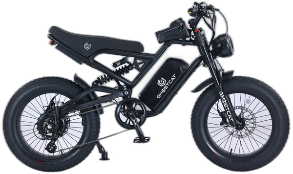 Ghostcat Bikes Ghostcat F3X.2 Pro