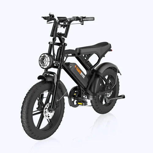 Tamobyke V20 Electric Bike
