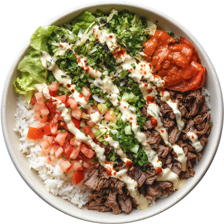 Halal Cart Lamb Over Rice