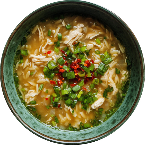 Toasted Orzo Chicken Soup