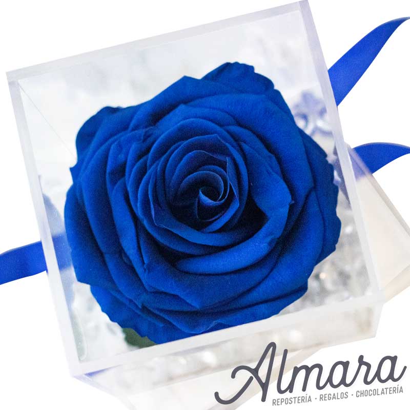 Rosa Preservada Azul