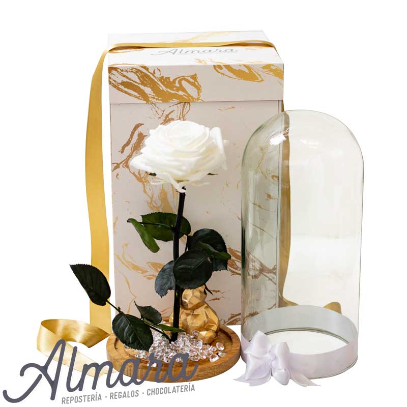 Rosa Preservada Deluxe Blanca