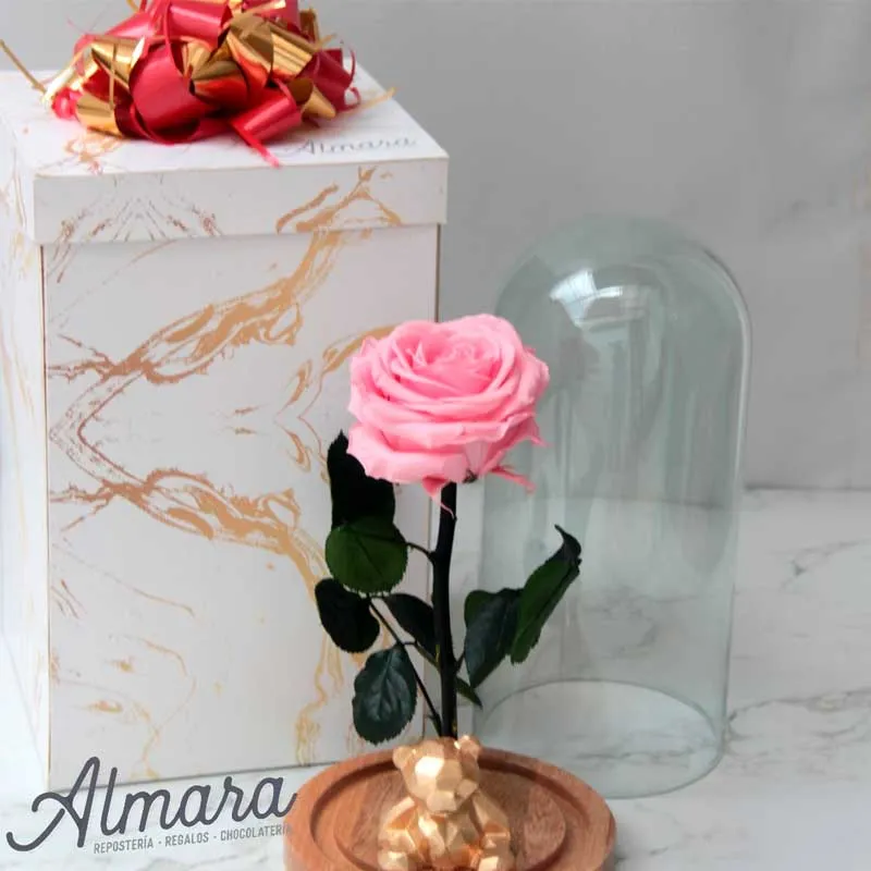 Rosa Princess Deluxe
