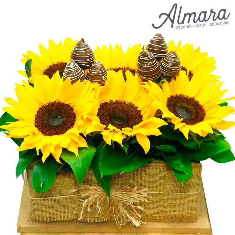 Jardín de Girasoles
