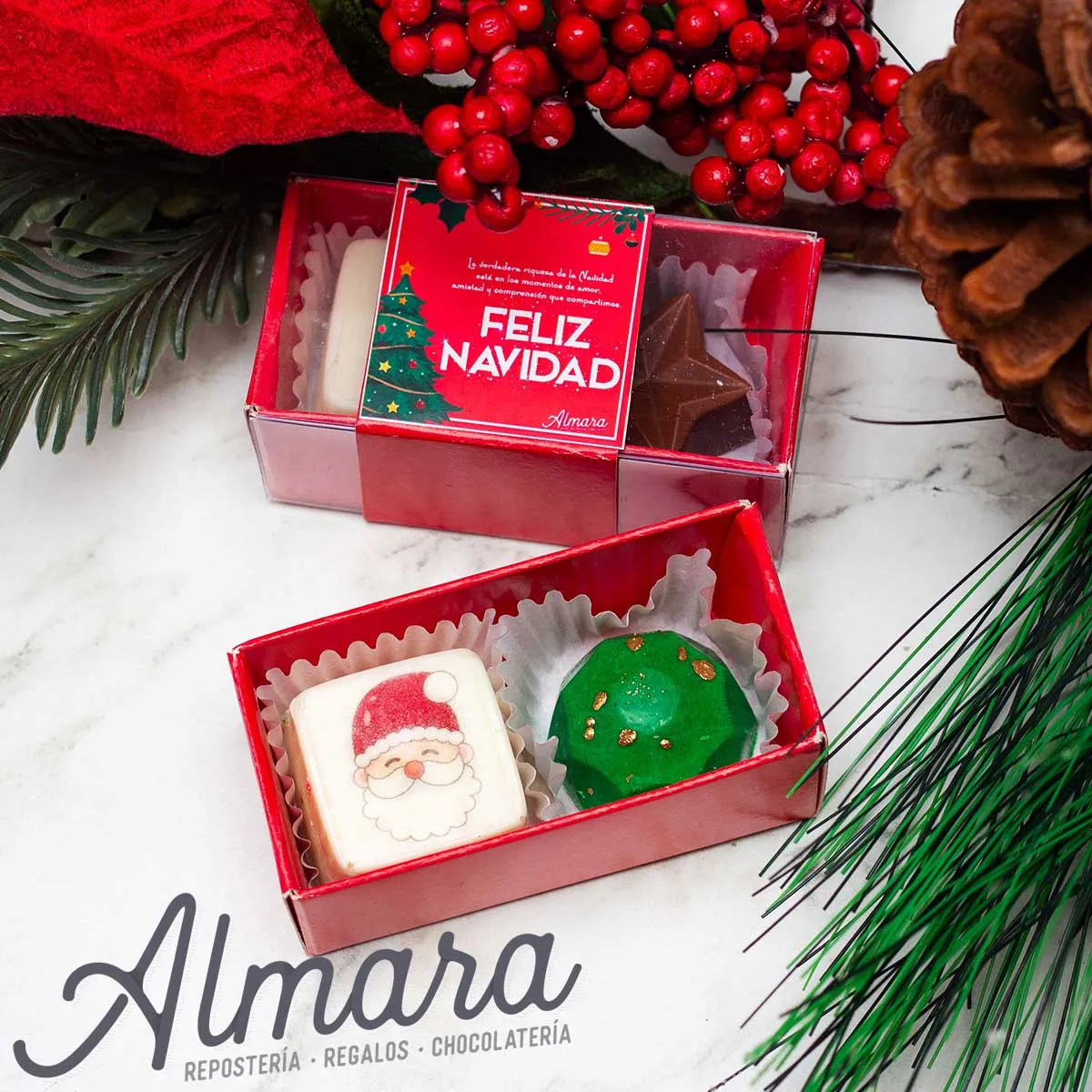 Gozo Navideño
