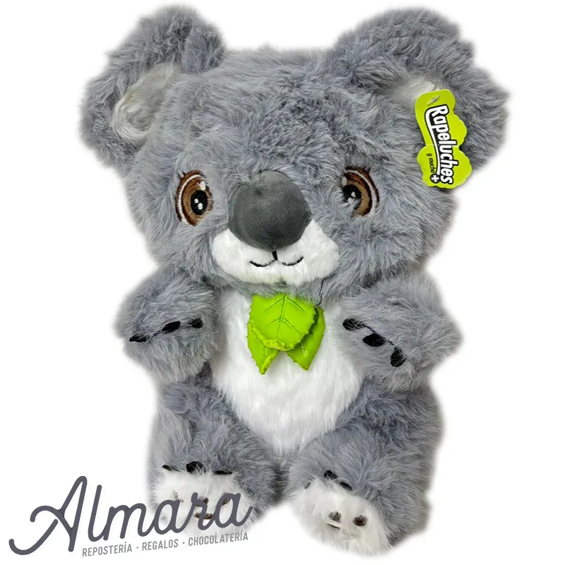 Koala
