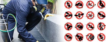 Image representing Effective Cockroach Removal in Jumeirah Village Circle